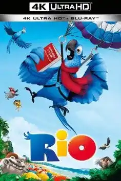 Rio 1 2011