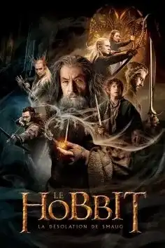 Le Hobbit 2 La Desolation De Smaug 2013