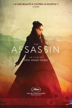 The Assassin 2016