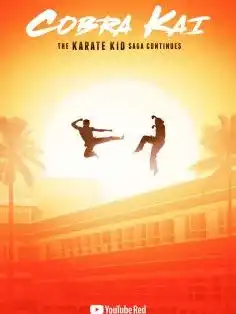 Cobra Kai Saison 1